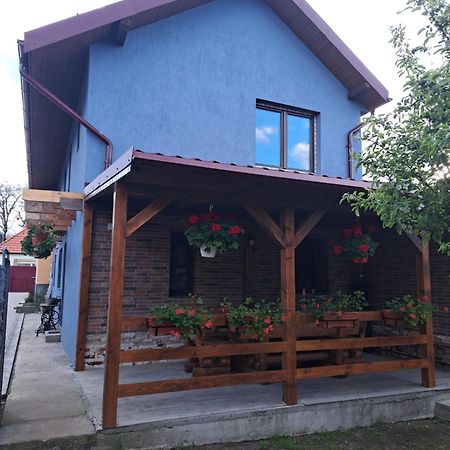 Casa Rustica Saceleana Villa Екстериор снимка