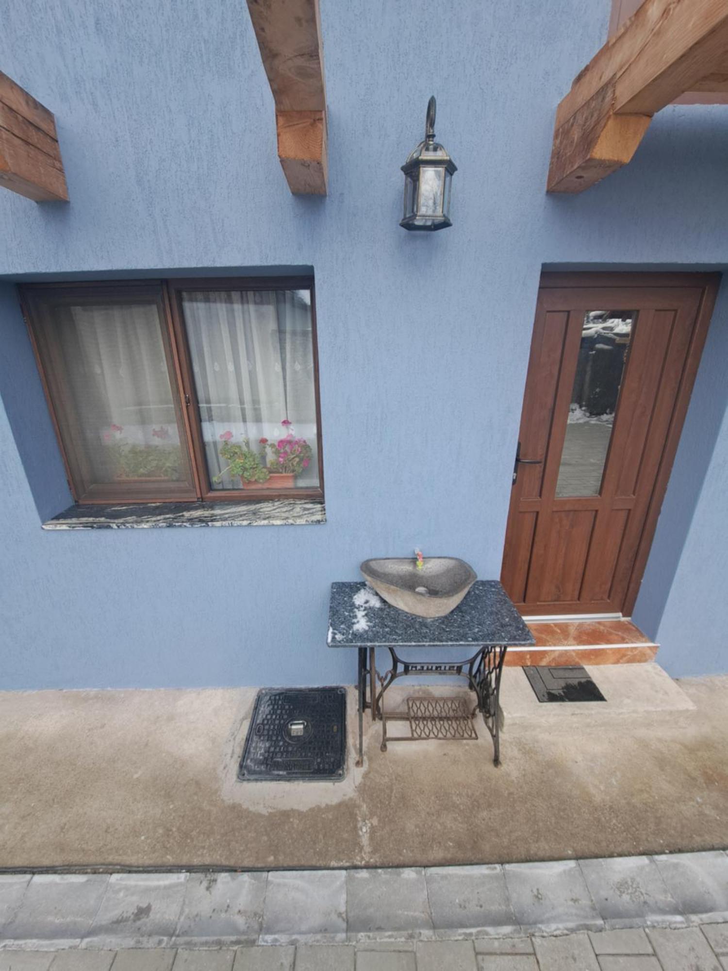 Casa Rustica Saceleana Villa Екстериор снимка
