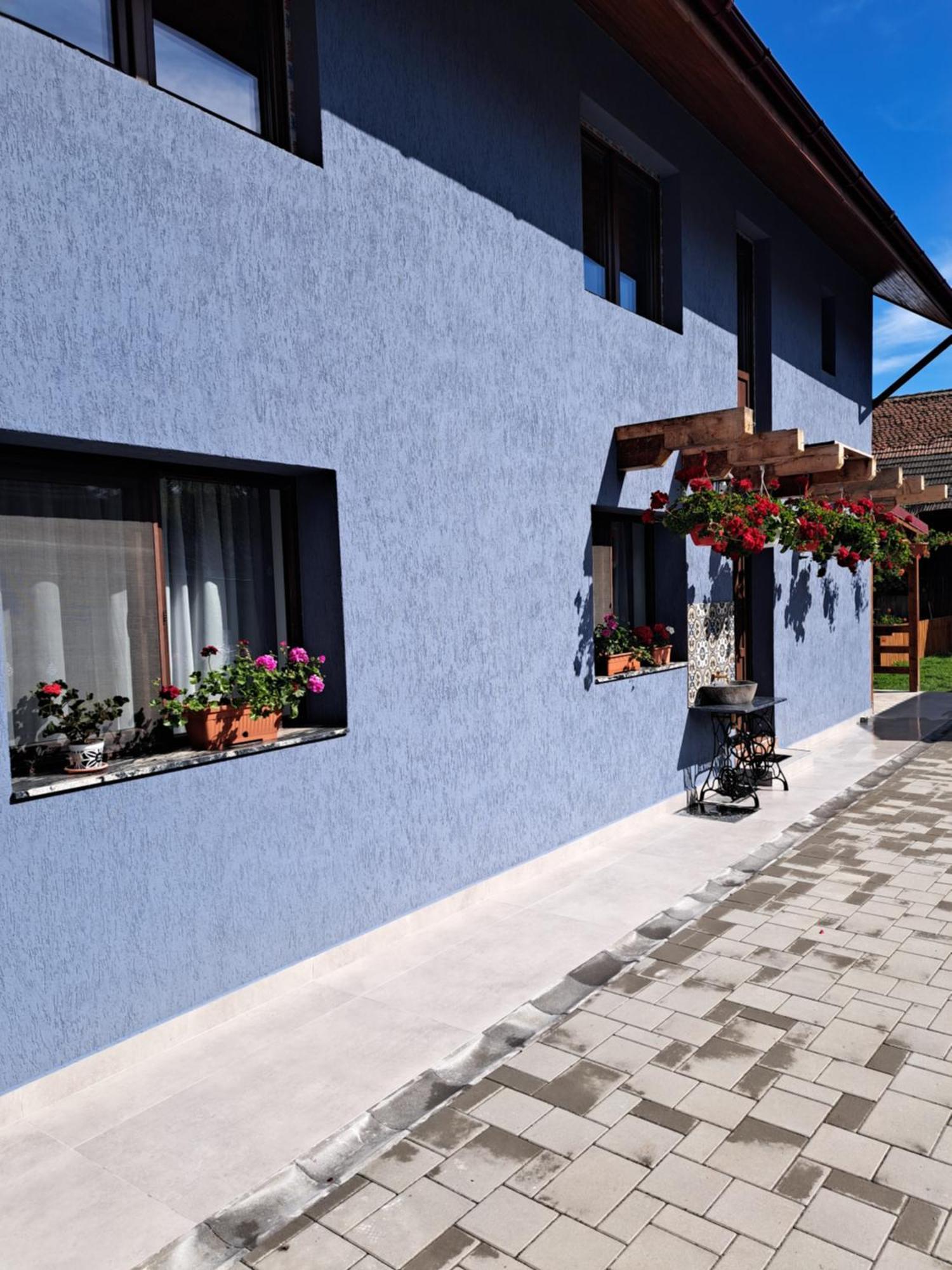 Casa Rustica Saceleana Villa Екстериор снимка