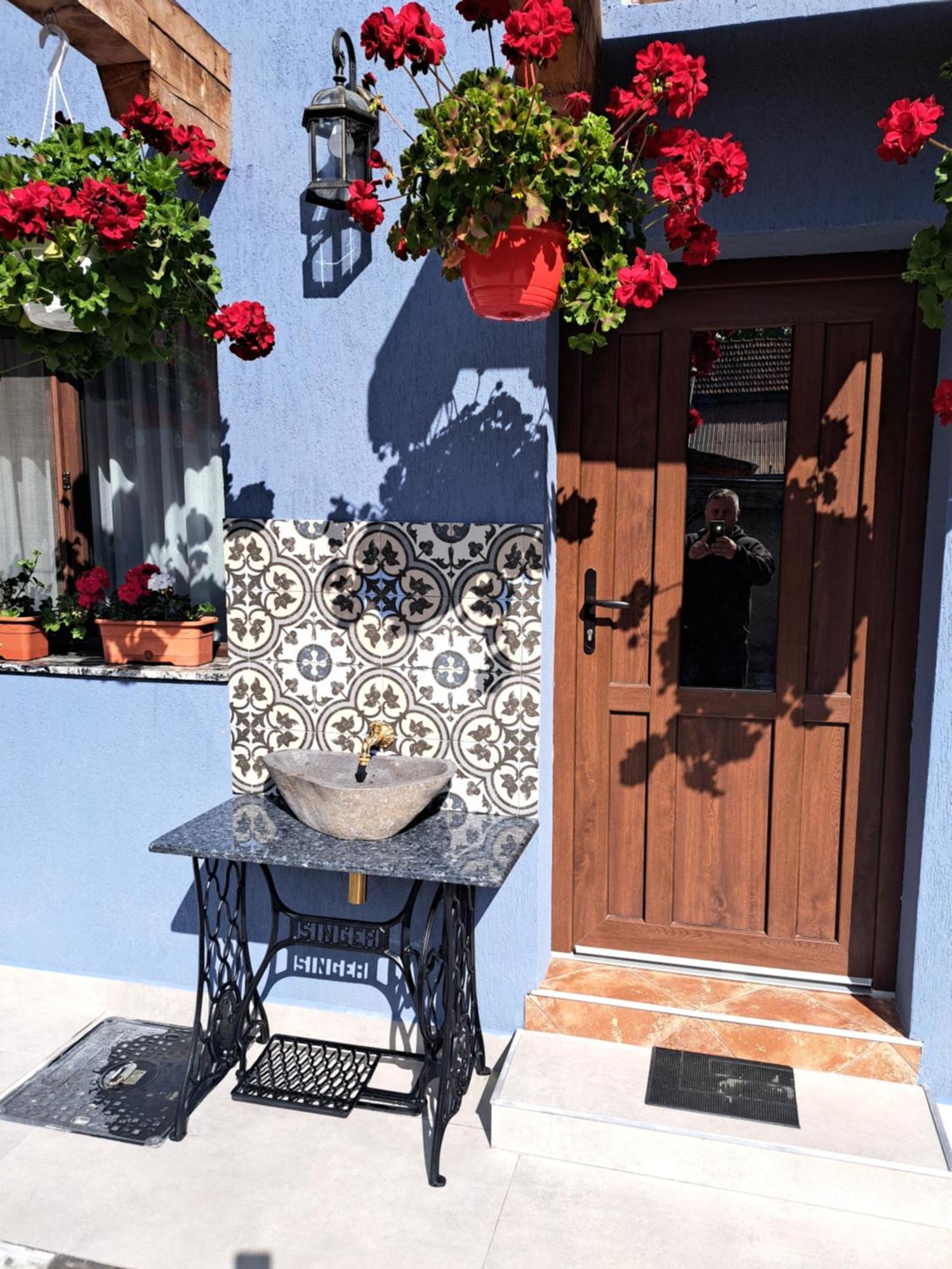 Casa Rustica Saceleana Villa Екстериор снимка