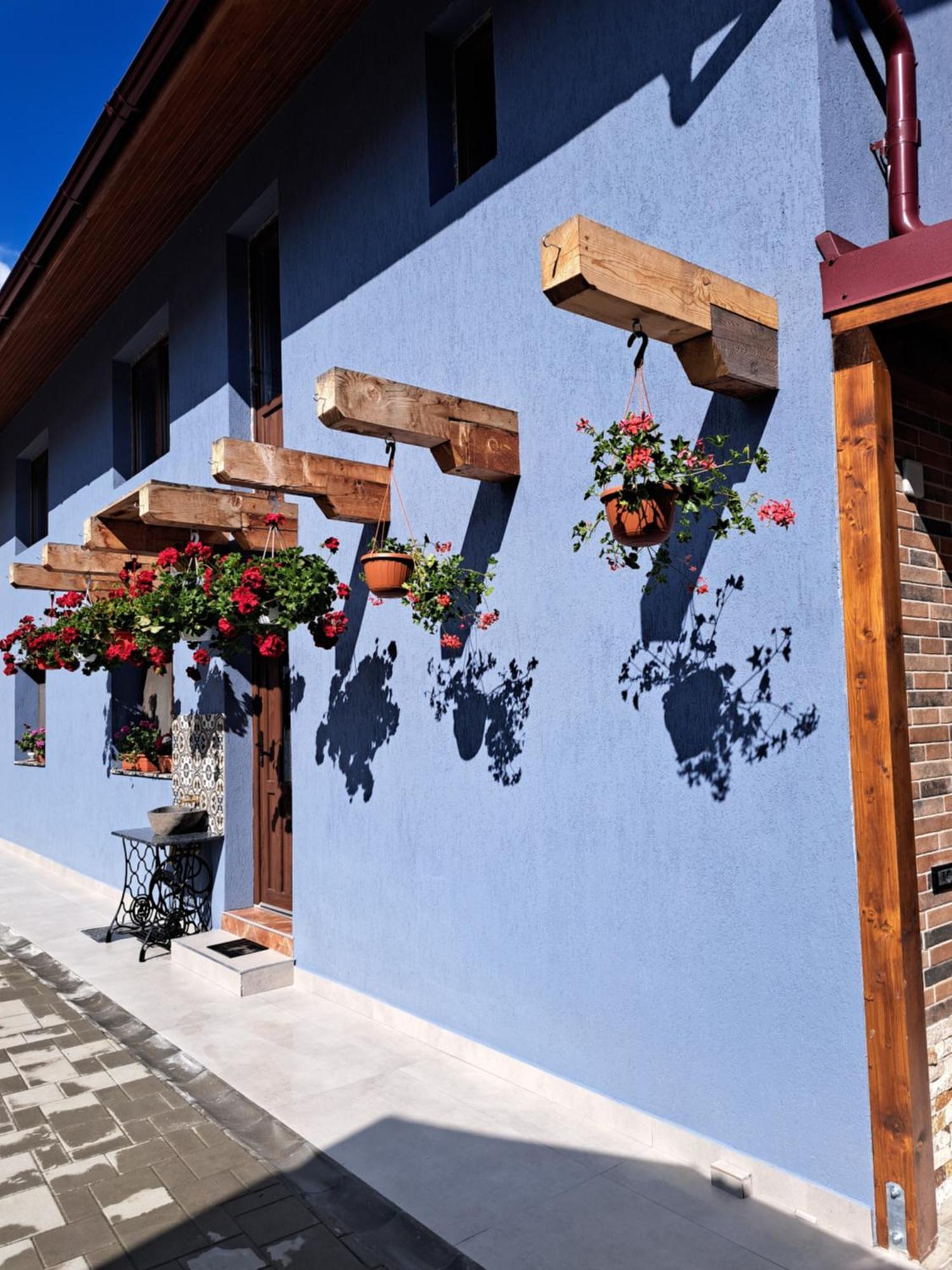 Casa Rustica Saceleana Villa Екстериор снимка