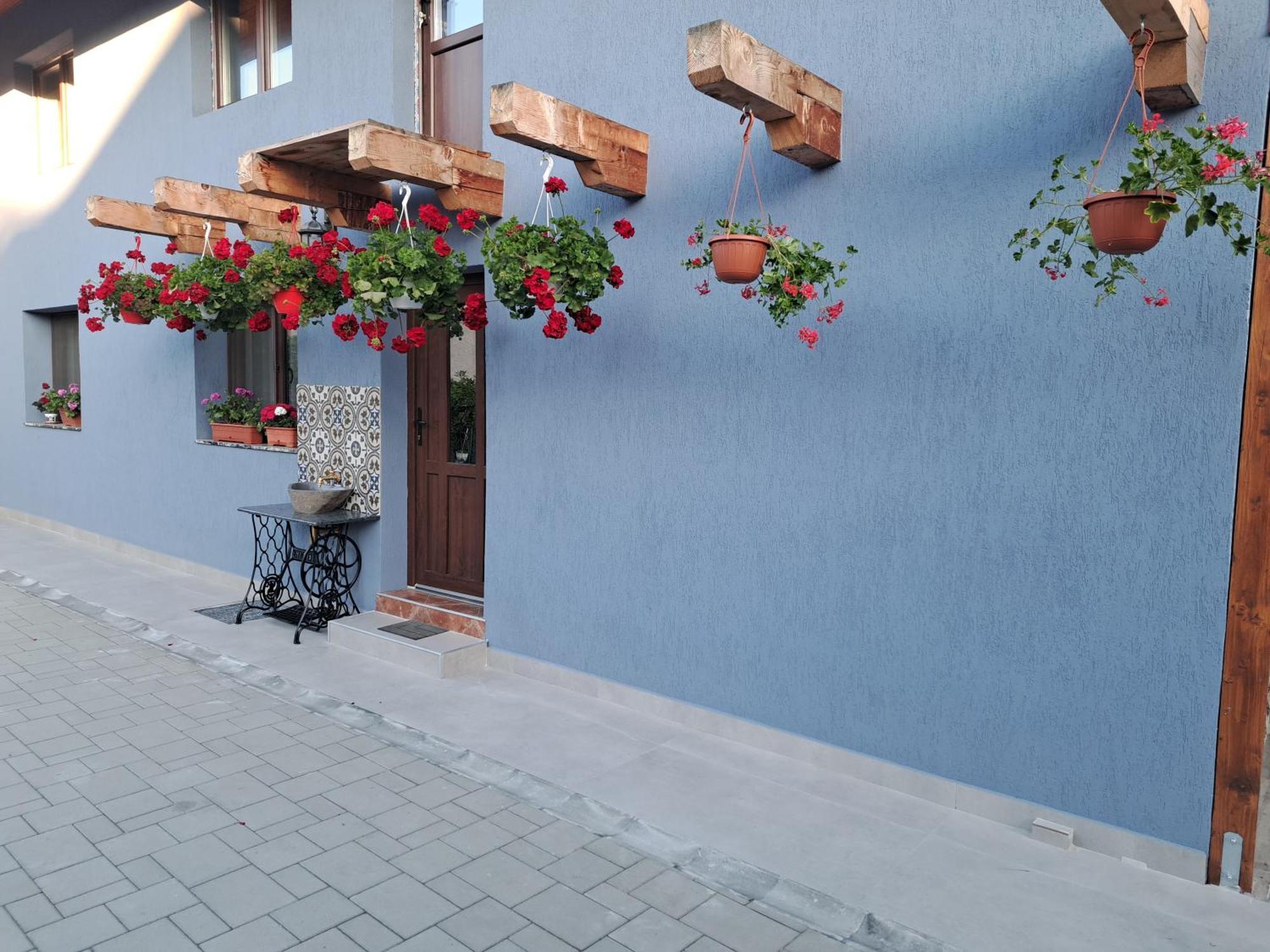 Casa Rustica Saceleana Villa Екстериор снимка